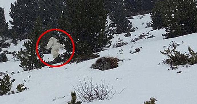 Ve Španělsku Viděli Yettiho Sněžného Muže Natočili Na Kameru Blesk Cz