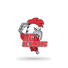 HC Olomouc HC Olomouc