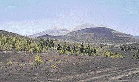 Sopka Del Teide se vzpíná do úctyhodné výšky 3718 m a domorodci doufají, že bude ještě dlouho spát