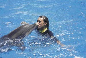 Políbit delfína není nic moc - živí se totiž hlavně rybami, a tak jejich dech není vůbec vonný