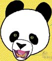 Ploché zuby, jimiž panda loupe bambusové stonky. Špičáky slouží k překusování silných bambusových stébel.