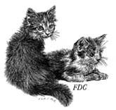 Kočky a koťata na poštovních známkách