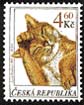 Kočky a koťata na poštovních známkách
