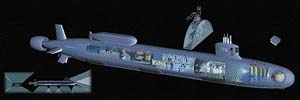 Virginia - miniponorka; přetlaková komora; anténní systém; sonary; torpédová sekce; řídící a velitelská sekce; kormidla ... 