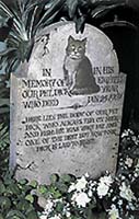 Kočičí hřbitovy dnes již najdeme v mnoha městech světa