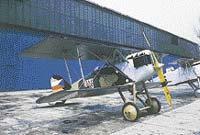 Patrné vstvy dřeva měla například vrtule československého stíhacího dvouplošníku meziválečného údobí, Aero A-18