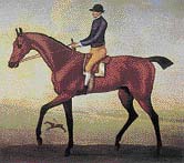 Kůň Second z chovu vévody z Devonshiru získal dvakrát za život Královský pohár. Obraz je z roku 1732
