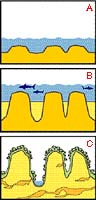 Koráli zvyšovali své útesy, aby se přiblížili k hladině (A, B).  Když moře ustoupilo, vznikly typické skalní útvary (C).