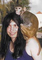 Na obrázku je jedna z vycvičených opiček, která si zahrála v pohádkách