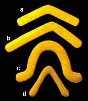 Některé tvary dvouramenných bumerangů