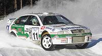 V seriálu závodů Mistrovství světa vozy prověří snad všechny myslitelné povrchy, od ledových plání Švédské rallye po vyprahlé cesty Safari rallye v Keni
