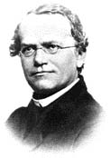 Dědičnost zkoumal už ve druhé polovině 19. století moravský kněz Gregor Mendel, ale ještě neznal její molekulární podstatu