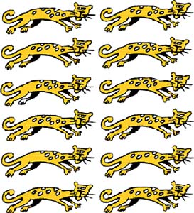 12 jaguárů