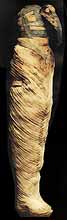 Mumie posvátného Ibise zabalená do lněného plátna představuje božského písaře Thovta