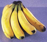 Banány nám zabalila sama příroda, polystyrenové tácky a mikrotenové sáčky jsou zbytečné