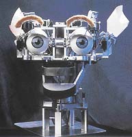 Robot může být vybaven stejnými smysly jako člověk (i některými dalšími) - například oči nahrazují steroskopické kamery, uši citlivé mikrofony