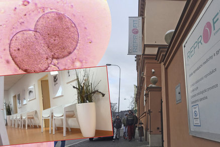 Na klinice v Brně zaměnily embrya: Jedna žena potratila, druhá chce 27 milionů!