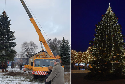 Vánoční strom Jirkova zasazoval dárce před 45 lety synovi: Rodina 15 metrový smrk darovala městu