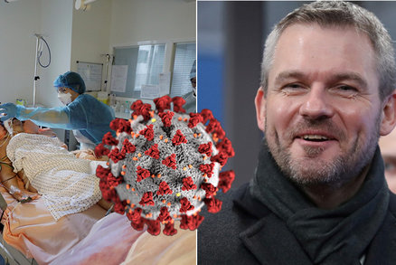 Koronavirus ONLINE: 10 163 mrtvých v ČR, PES  „vrčí“ u pětky a nakažený premiér