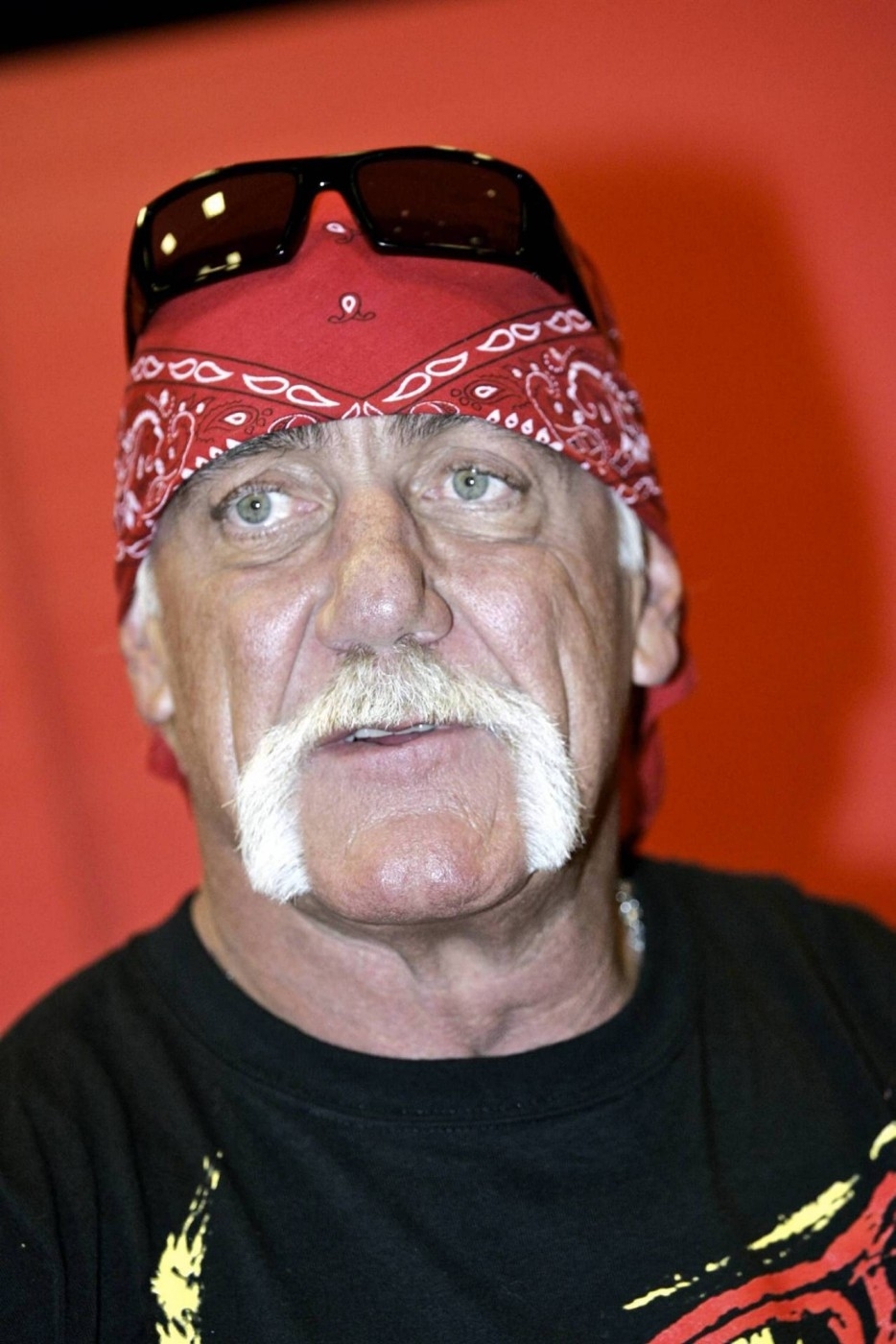 Hulk Hogan