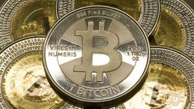 video bitcoin en español