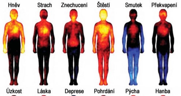teplotní mapa Unikátní teplotní mapa těla: Jak vás rozpálí emoce? | Blesk.cz teplotní mapa