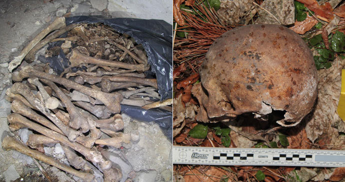 V lese u Písku leželo 11 lebek: V nedalekém domě našli další! Pytel byl plný kostí
