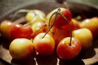 Meruňky i třešně budou nedostatkové zboží. Pomrzly, škody jdou do milionů