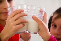 Na školách bude zdarma neochucené mléko. Za sladké si budou rodiče připlácet