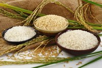 Vyznejte se v rýži: Existuje až 8 000 druhů! Ze které je nej rizoto?
