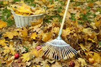Zahrada v listopadu: Zakryjte rostliny a založte kompost