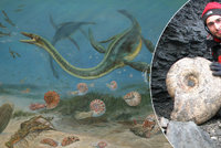 Poprvé bude v Česku vystavena velká sbírka fosilií z Antarktidy