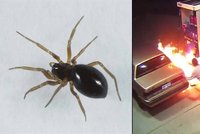 Muž vytáhl zapalovač na pavouka, omylem zapálil benzinku