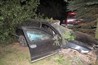 Tragická nehoda na Strakonicku: Pětadvacetiletý mladík nepřežil náraz do stromu