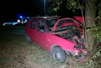 Tragická nehoda na Táborsku: Řidička zemřela po nárazu do stromu
