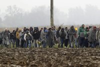 Německý úřad o uprchlících: Mají jen „základku“, někteří neumí číst ani psát