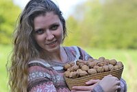 Vlašské ořechy: Sbírejte, sušte, zavařujte a hlavně jezte! Jsou velmi zdravé!