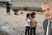 Zeman žene romské děti do povinné školky. Aby se naučily česky