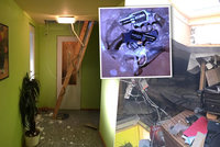 Kriminálník z Brna unikal policii: Doma vybudoval „nory“ a obklopil se bojovými psy