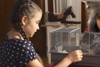 Kruté vánoční video: Domácí mazlíček může zahřát nejen u srdce
