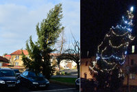 Nejhorší vánoční strom v Česku: Nakloněný smrk ohrožuje chodce i auta