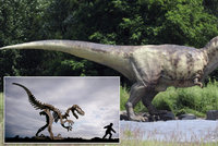 Ve Španělsku byl objeven nový druh dinosaura. Měl na hřbetě záhadný vějíř