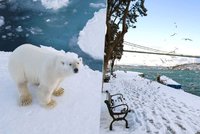 Zimní chaos: Na severním pólu je o 40 °C víc než obvykle, Turecko ochromil sníh