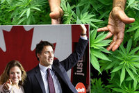 Kanada legalizuje rekreační užívání marihuany. Podle expertů získá desítky miliard