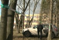 Žák ukradl učitelce auto, naboural s ním hned do stromu