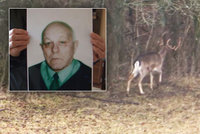 Muže zabil agresivní jelen: Lidé si podle zranění mysleli, že ho někdo ubodal