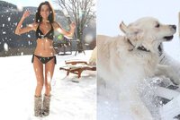Modelky na sněhu: Bučková šla donaha, Perkausová našla lásku