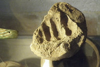 Archeologům „podal“ ruku středověk: V hlíně našli otisk starý stovky let