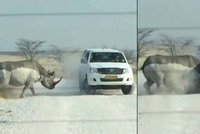 Děsivá jízda na safari: Rozzuřený nosorožec napadl turisty!