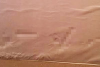 Hanbatá matrace: Otisky odhalily, co pod ní žena skrývala